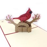 3dcard-red-bird-1.jpg